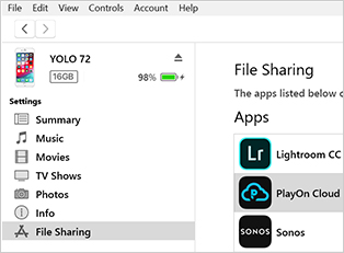 file sharing in iTunes