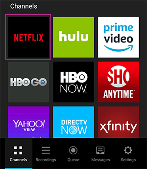 PlayOn Cloud Netflix channel