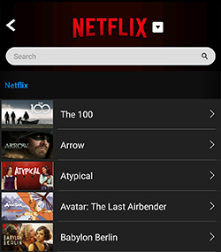 Netflix shows listing on PlayOn Cloud